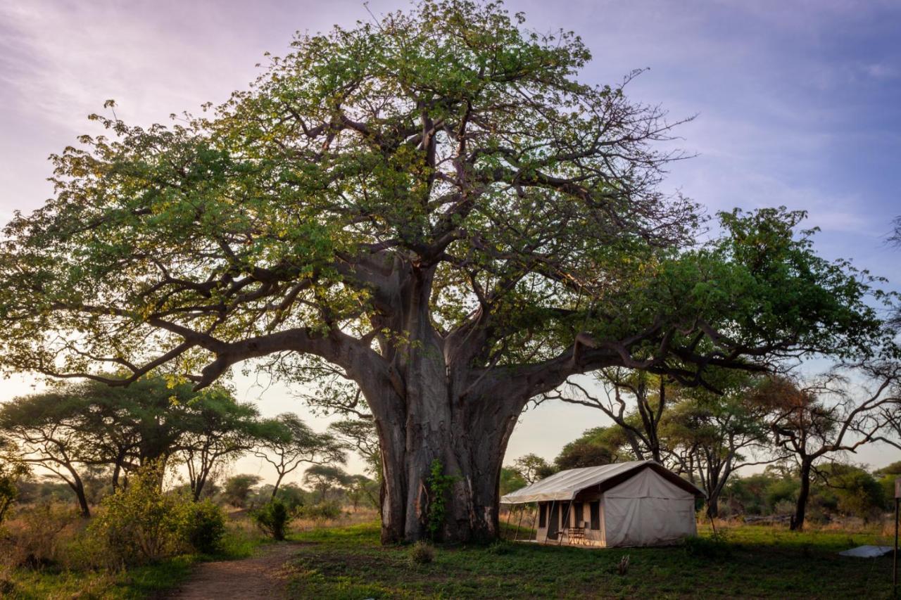 Baobab Tented Camp Kwa Kuchinia Zewnętrze zdjęcie