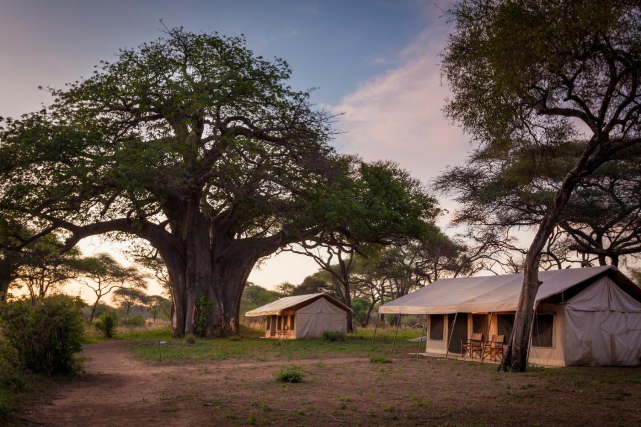 Baobab Tented Camp Kwa Kuchinia Zewnętrze zdjęcie