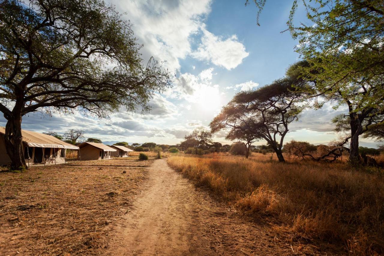 Baobab Tented Camp Kwa Kuchinia Zewnętrze zdjęcie
