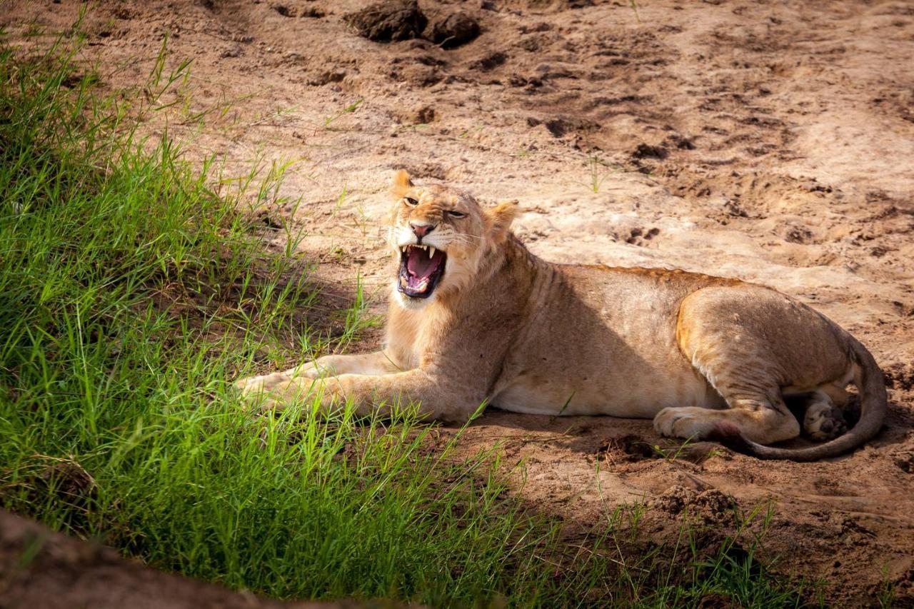 Baobab Tented Camp Kwa Kuchinia Zewnętrze zdjęcie