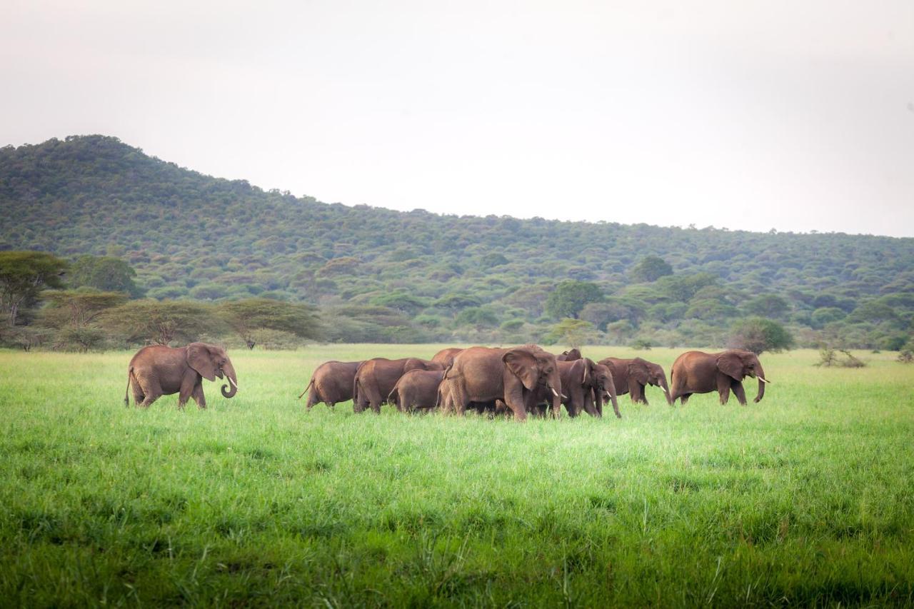 Baobab Tented Camp Kwa Kuchinia Zewnętrze zdjęcie