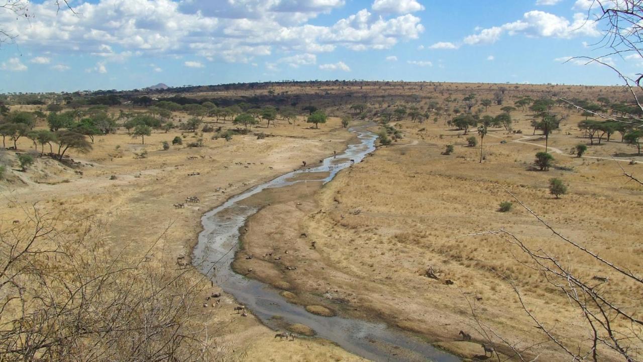 Baobab Tented Camp Kwa Kuchinia Zewnętrze zdjęcie